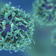 T-cells. Image: Memorial Sloan Kettering Cancer Center